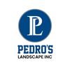 Pedro  