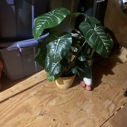 Fake Plant
