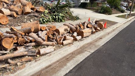 Firewood