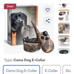 SportDOG WetlandHunter 425X Remote Training Dog