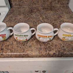 Soup Bowls With Instructions 