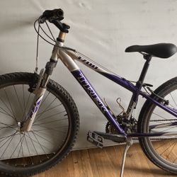 Trek 3700 Mountain Bike
