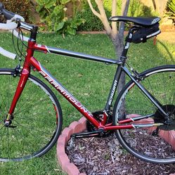 Schwinn Paramount Series 6 Bicycle