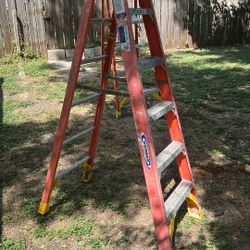 6ft Ladder Louisville Werner