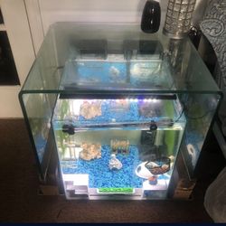 25 Gallon Frameless Cube Aquarium Fish Turtle Tank Terrarium 