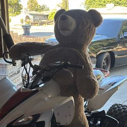 Giant Teddy Bear