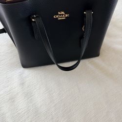 Coach Mollie Tote 25 