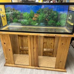 Large Fish Tank 53 Gallon 