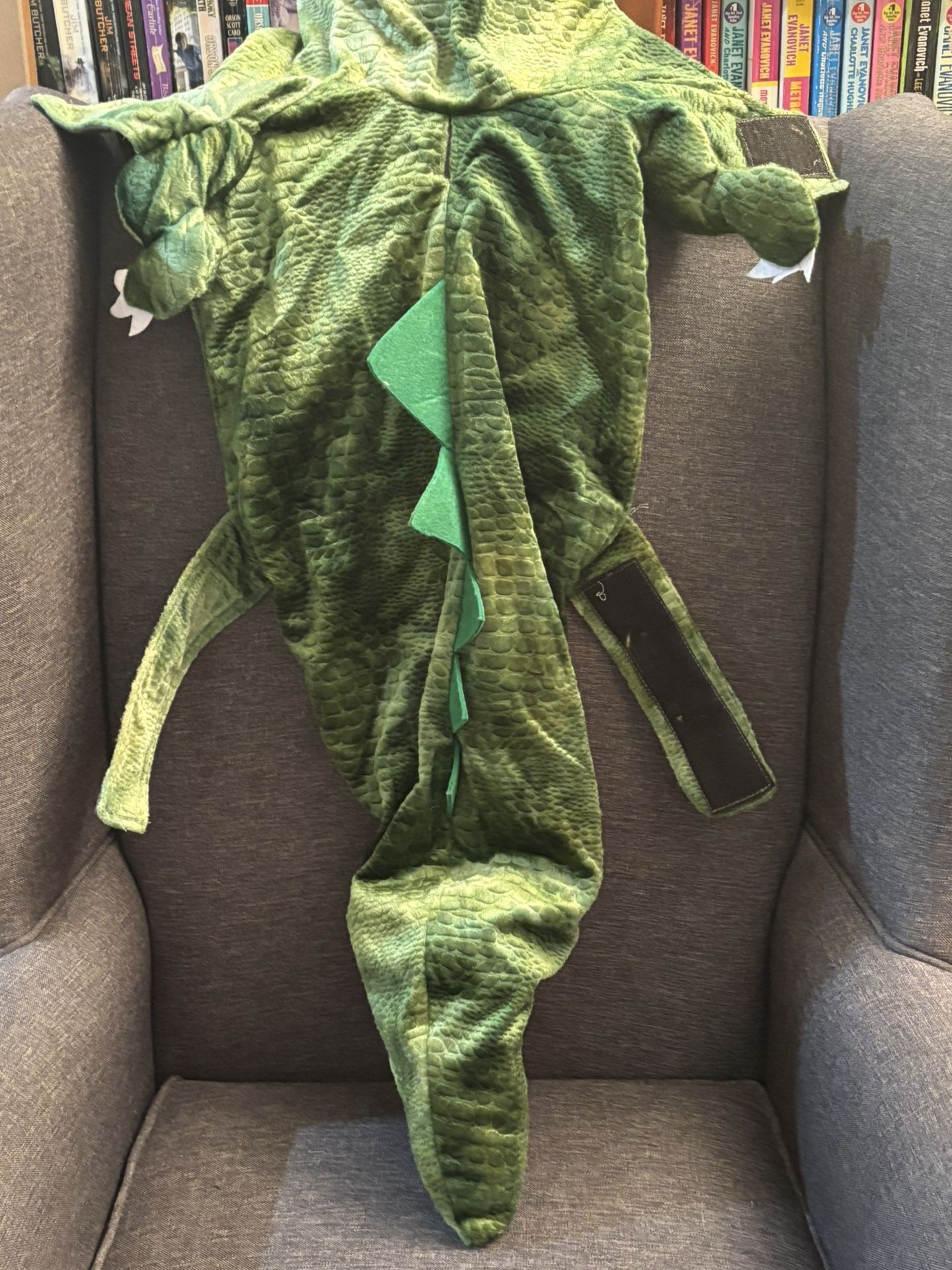 Dog Costume-Dragon XL $10