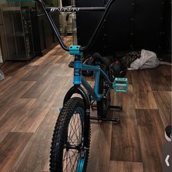 Custom BMX Bike