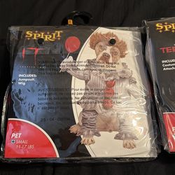 Halloween custome