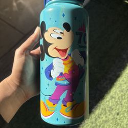 Disney Cup