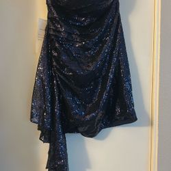 Navy Sheath/Column Sequined Strapless Dress