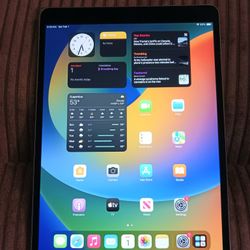 iPad Pro 10.5 Inch 64 GB Wi-Fi & Cellular Network Wireless Like Brand New Condition Works Perfect Reset Ready To Use 