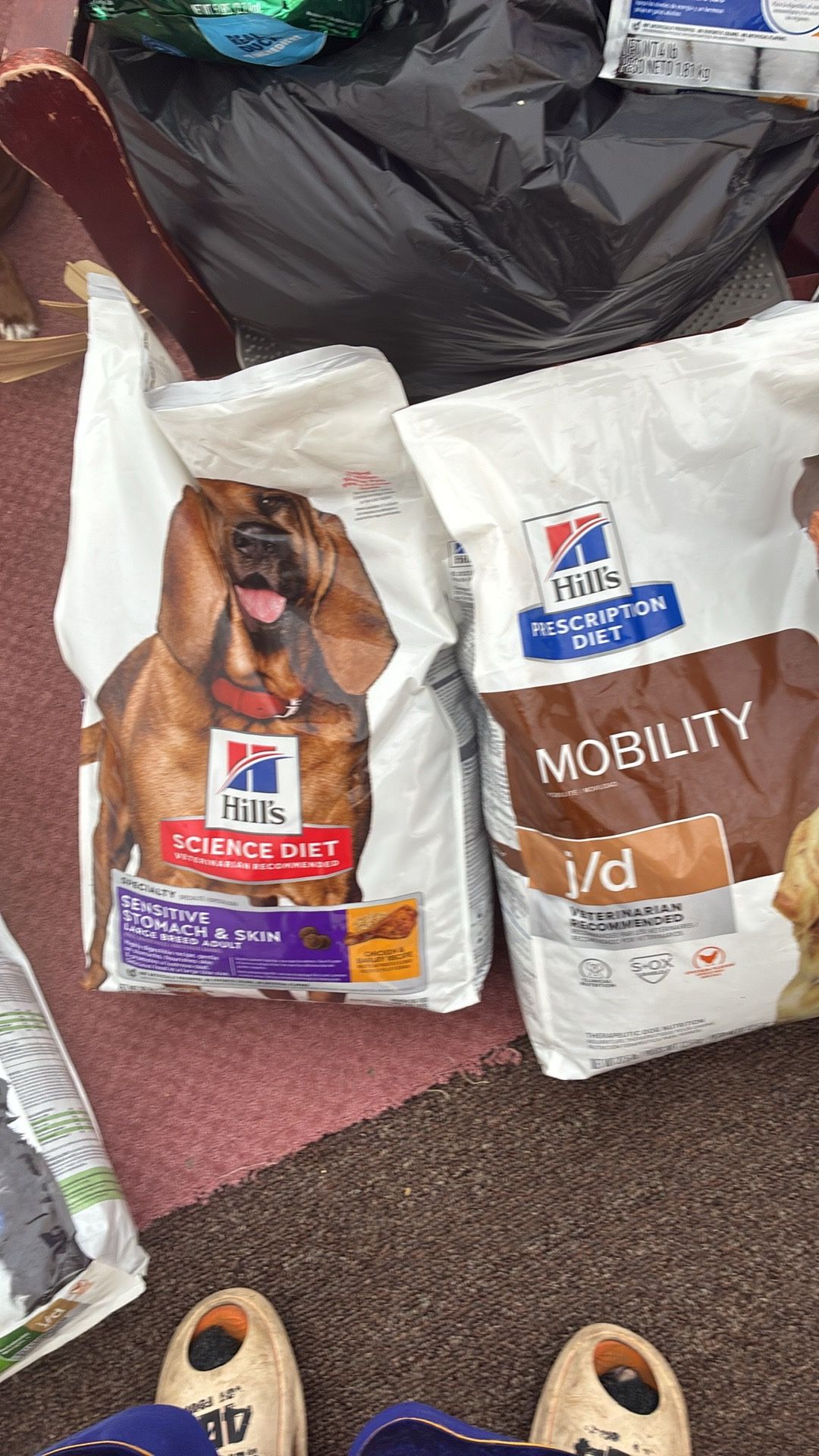 Comida Para Perros Y Gatos