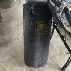 Punching Bag Only 20$ 