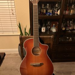 12 String Acoustic Electric Breedlove Guitar