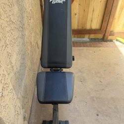 Bench + Dumbbells 