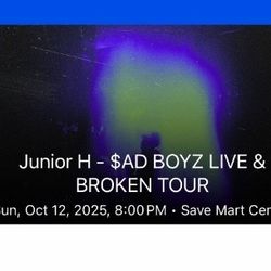 4 Tickets To Junior H Concert 