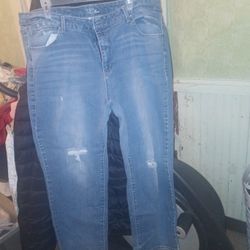 Plus Size Ripped Jeans