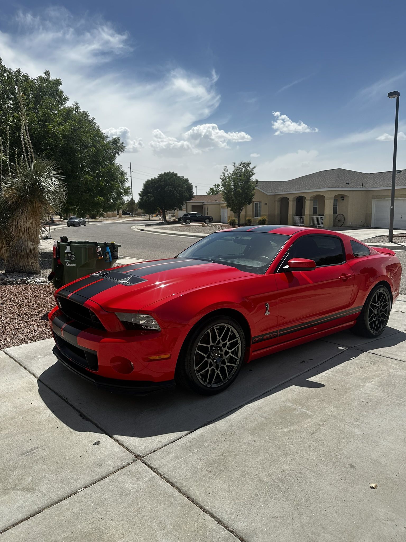 2013 Ford Shelby Gt500