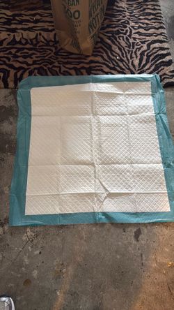 Puppy Pads/Chuxs - 100 Pads