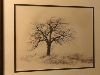 Tony Casper Photo Print - Lone Winter Tree