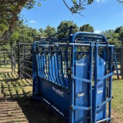 ISO Cattle Squeeze Chute 