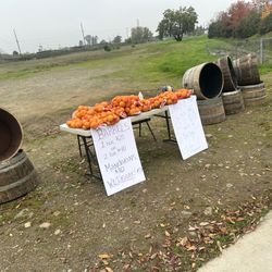 BARRELS AND MANDARINES 