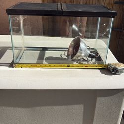 Fish/Reptile- Tank/Aquarium  