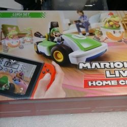 Mario Kart Live Luigi 