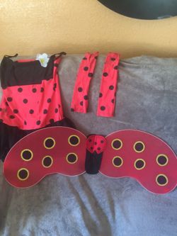 Ladybug costume