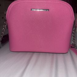 Steve Madden Purse