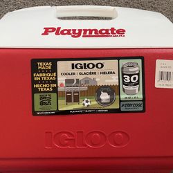 Igloo Tote Cooler