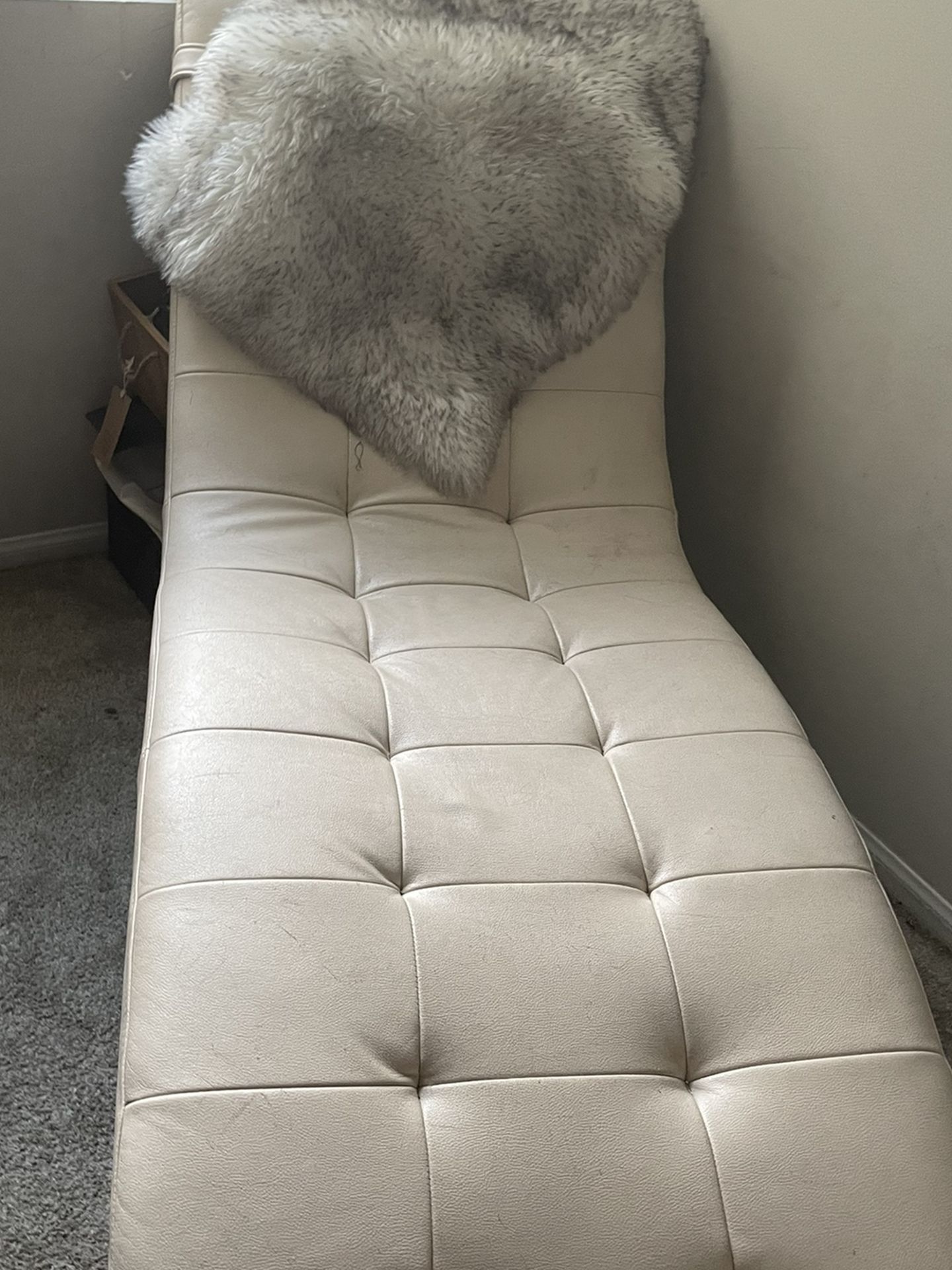 Cream Colored Chase