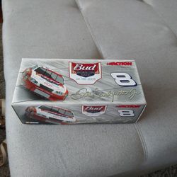 Racing Car Bud Born On Date 20 Feb 2005 