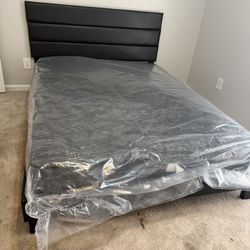New Queen + Mattress 