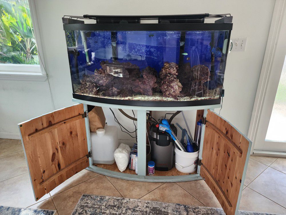 75 gallon bow-front aquarium With Stand