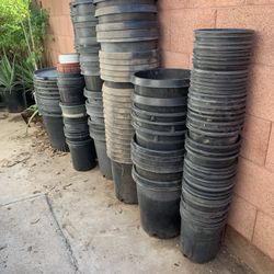 Many Planting Pots Available Buckets