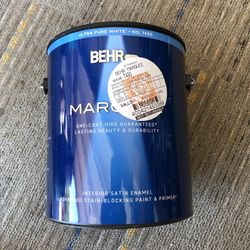 Behr House Paint-Looking Glass