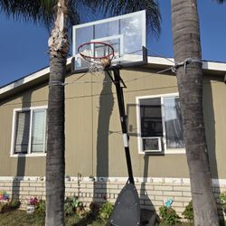 Basketball Hoop