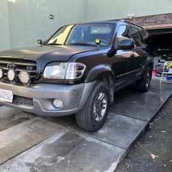 04 Sequoia