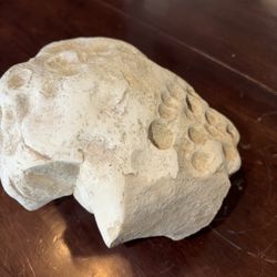 Dinosaur Bone Weighs About 11 Pounds
