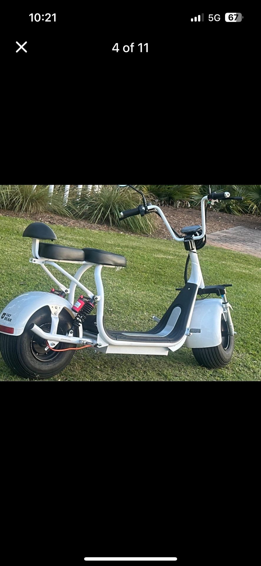 Fat bear scooter