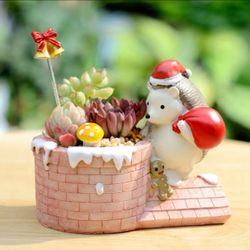 Flower pot, Resin Succulent Pot