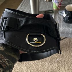 Dog Harness