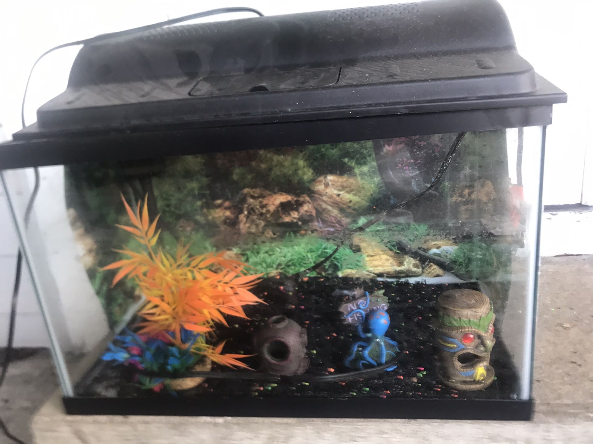 Fish tank with filter, hood light, gravel and decorations over $100 value just got it few weeks ago. Kids didn’t want fish