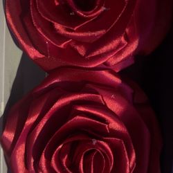 Red Roses 