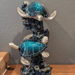 Turtle Display