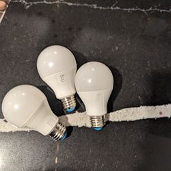 Ring A19 Smart Bulbs